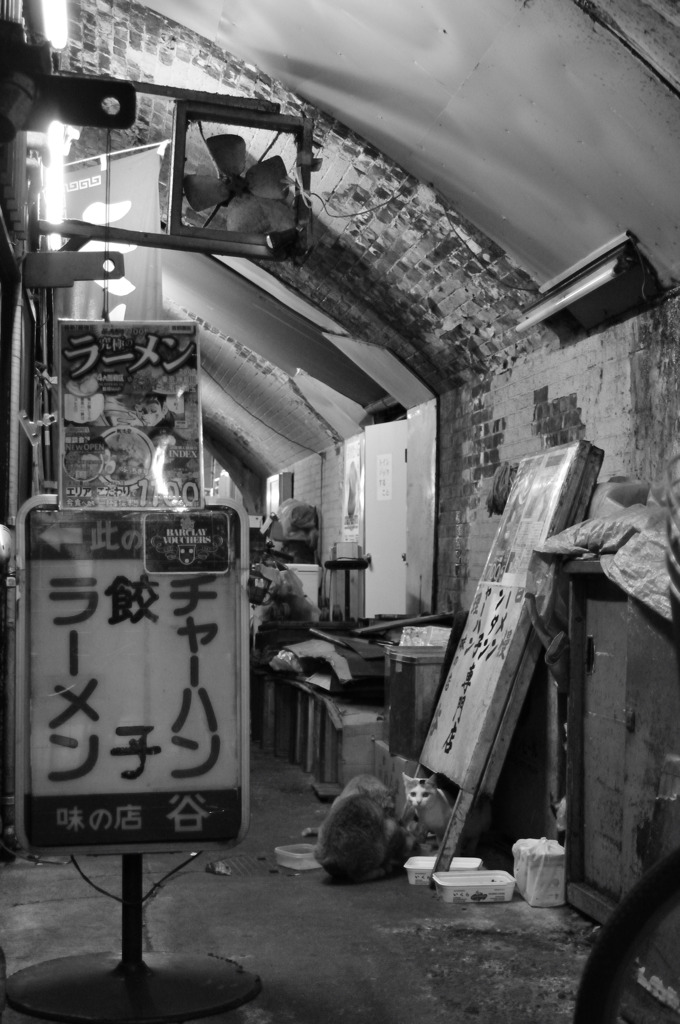 華やかさの裏に