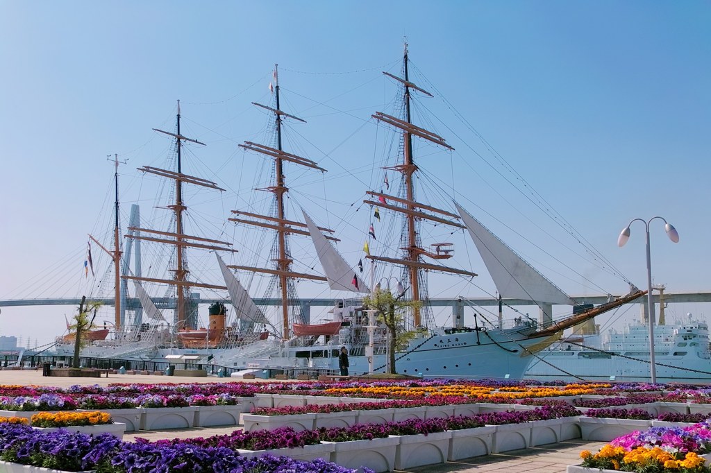 花の海原