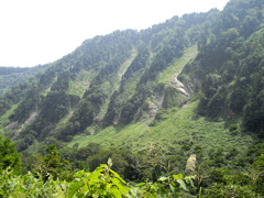 悪城の壁