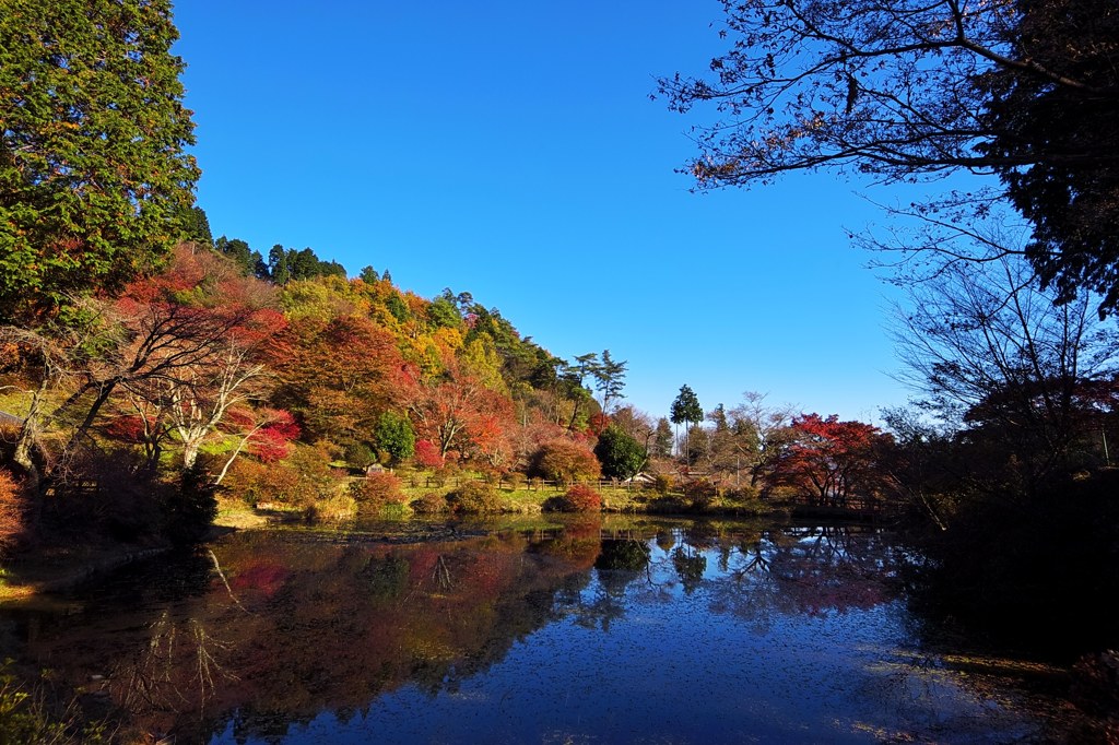 鳥見山公園 勾玉池