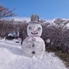 雪だるま