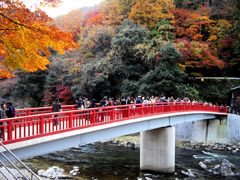 香嵐渓 待月橋