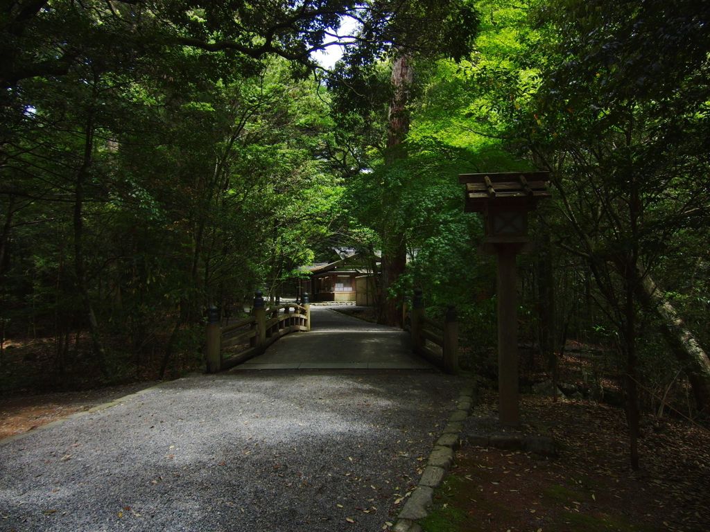 瀧原宮の参道