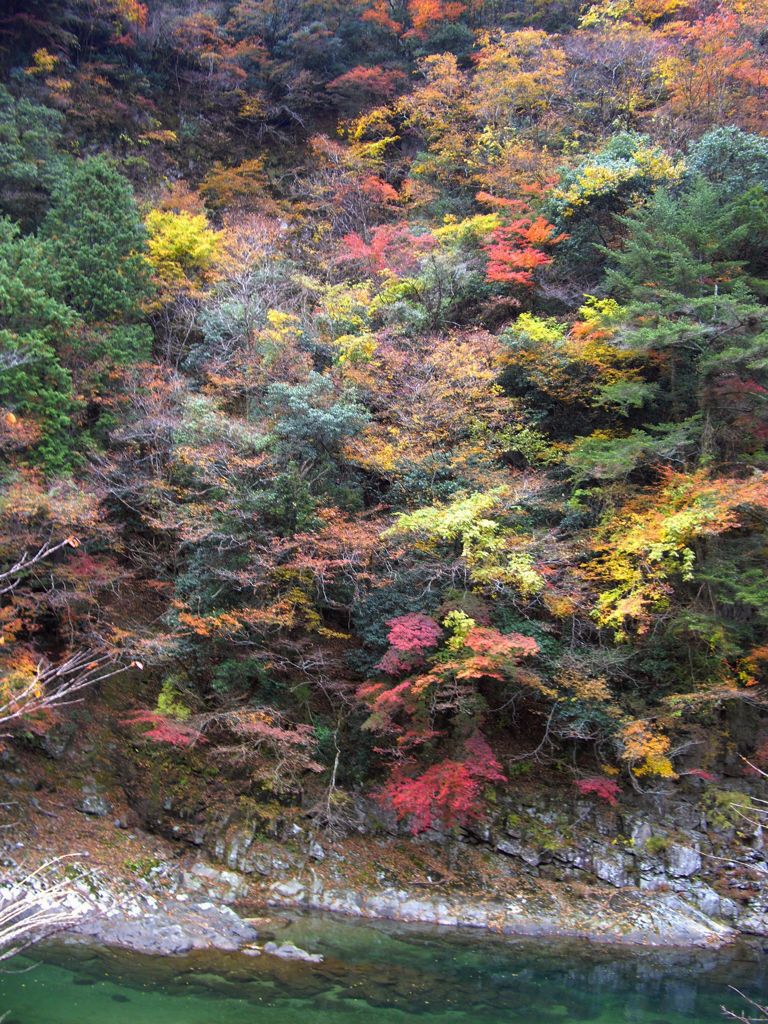 紅葉のスターマイン