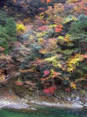 紅葉のスターマイン