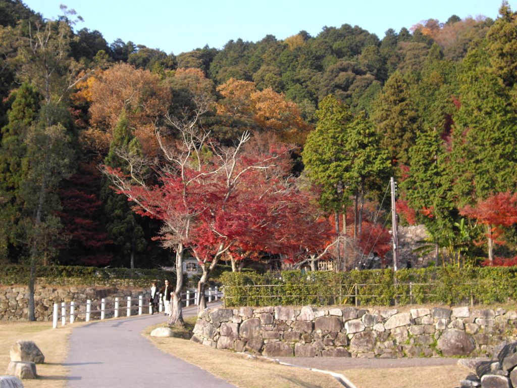 安土城跡 紅葉