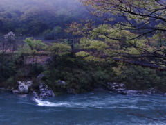 しとしとと降り続く雨