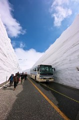 雪の壁 バスと対比
