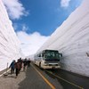 雪の壁 バスと対比