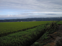 眉丈山と邑知潟大橋