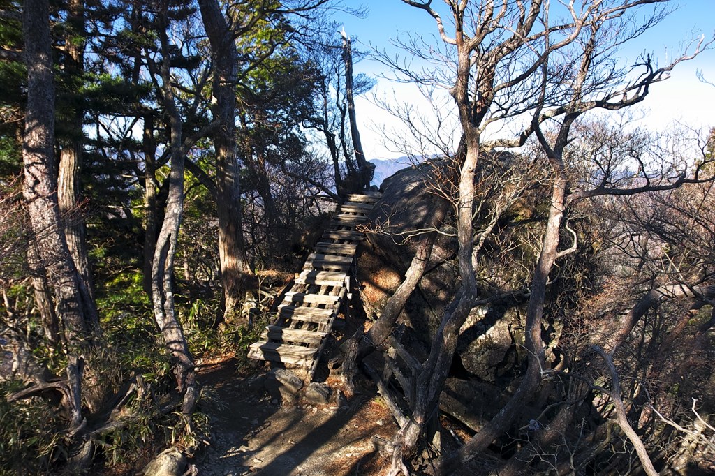 大蛇嵓への道