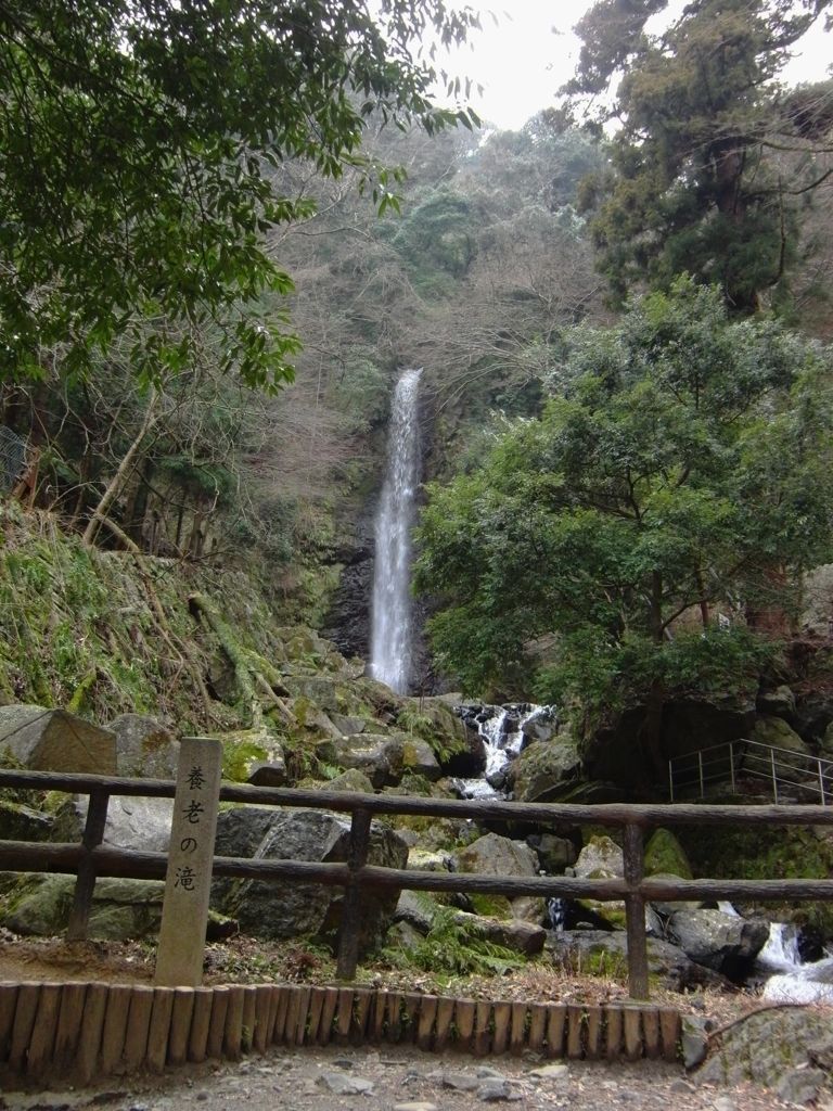 養老の滝