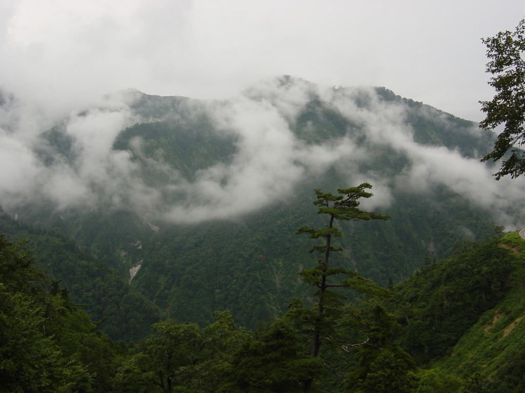 白山スーパー林道