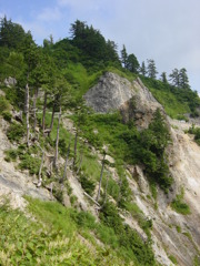 白山スーパー林道