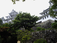 郡上八幡城