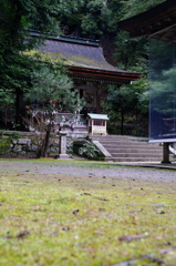 IMGP4645