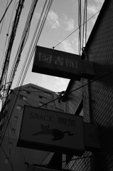 IMGP4595