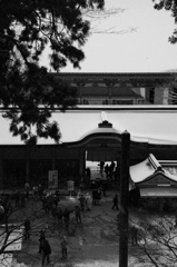 IMGP3721