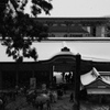 IMGP3721