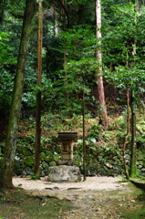 IMGP4643
