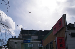 IMGP4338