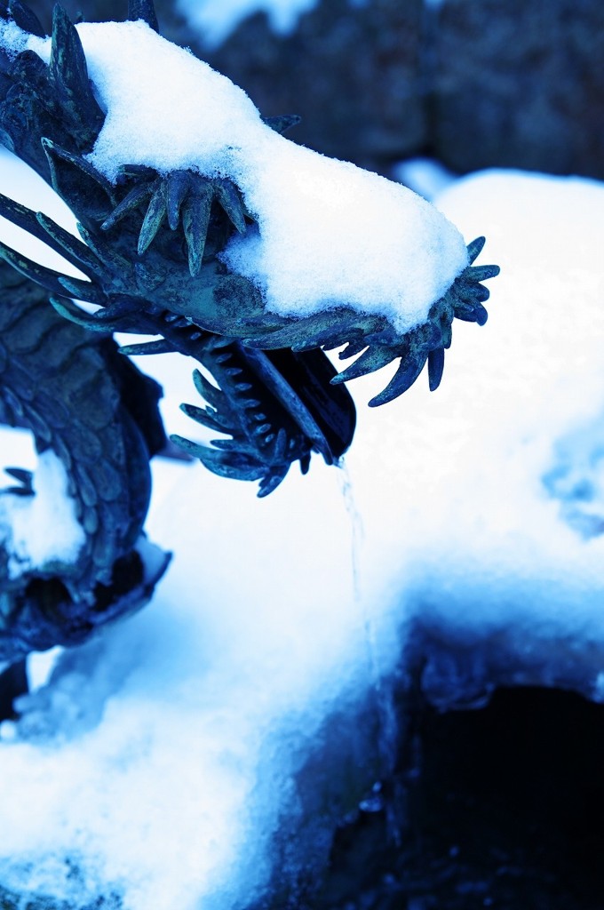 雪かぶり竜