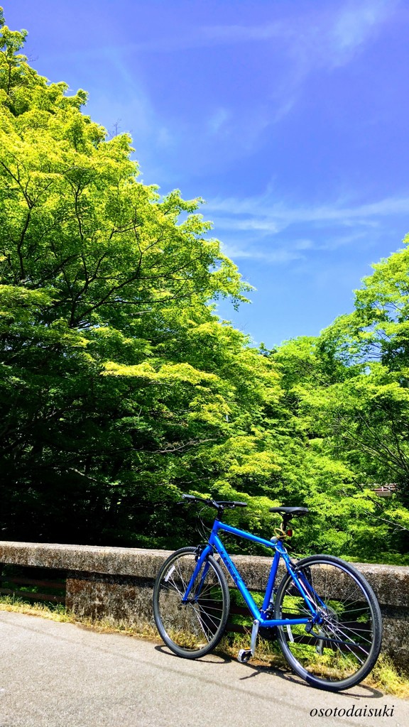 新緑ポタリング^^