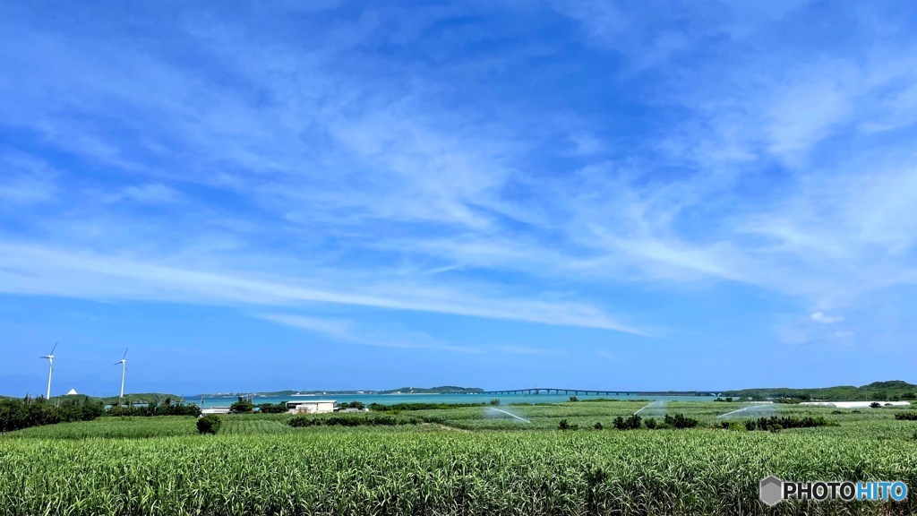 blue gleen heaven