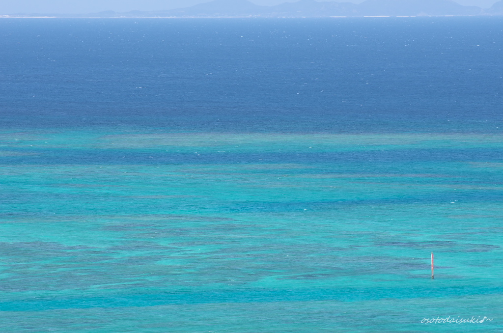reef