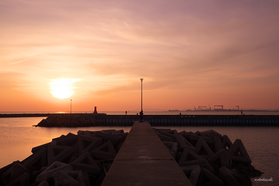 Purple port