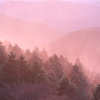 pinky fog