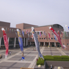 koinobori