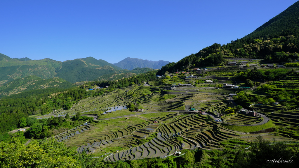 碧田