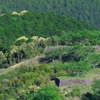 碧城