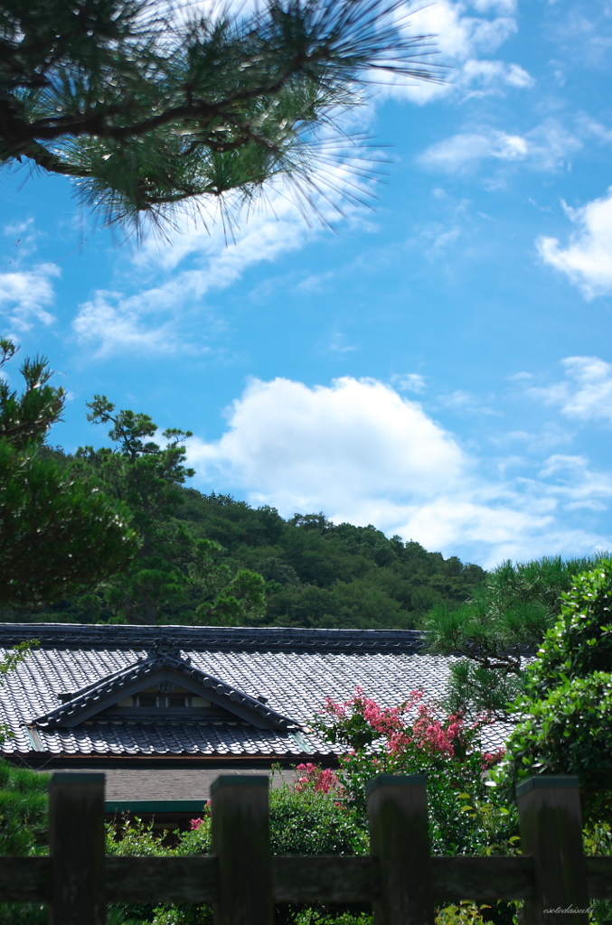 夏の終わりに・・・