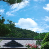 夏の終わりに・・・