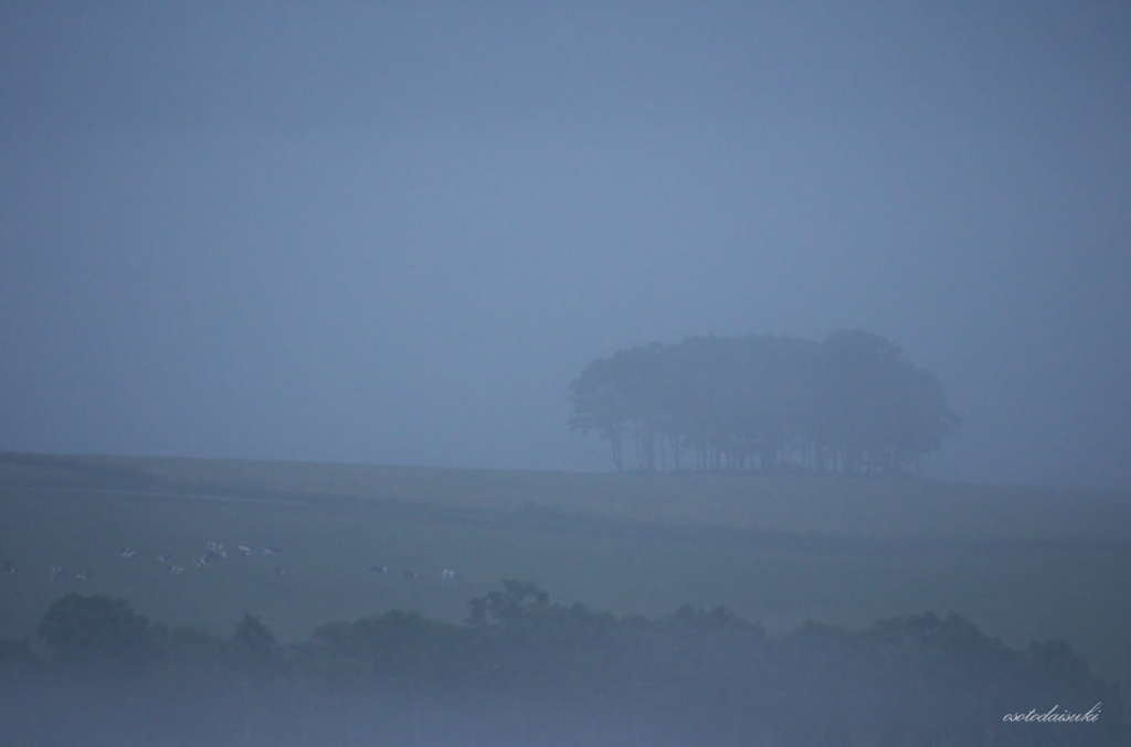 FOGGY HILL