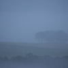 FOGGY HILL