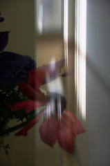 花2