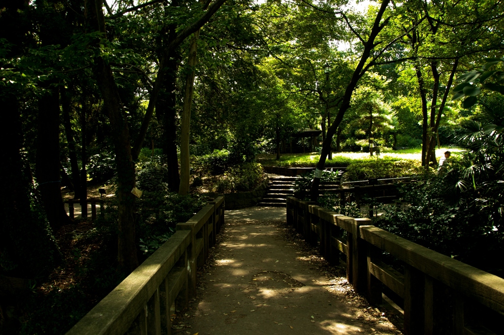 komorebi