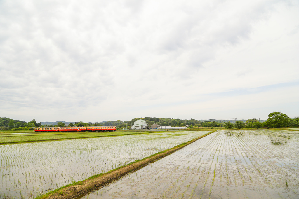 小湊鉄道珍道中