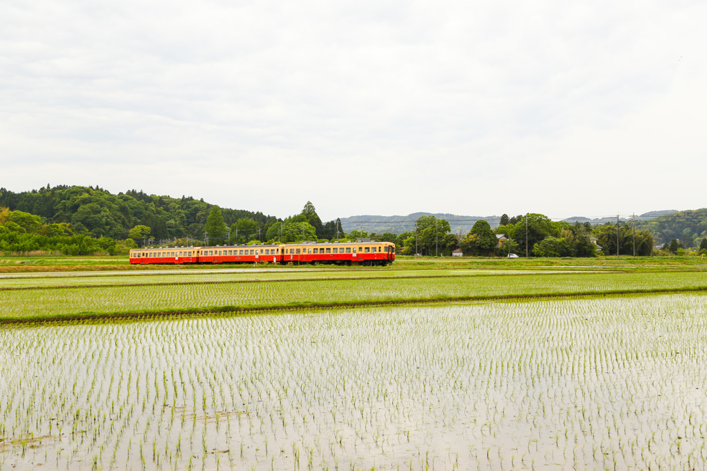 小湊鉄道珍道中