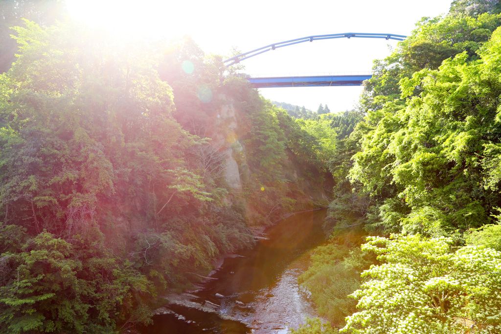 小湊鉄道珍道中２