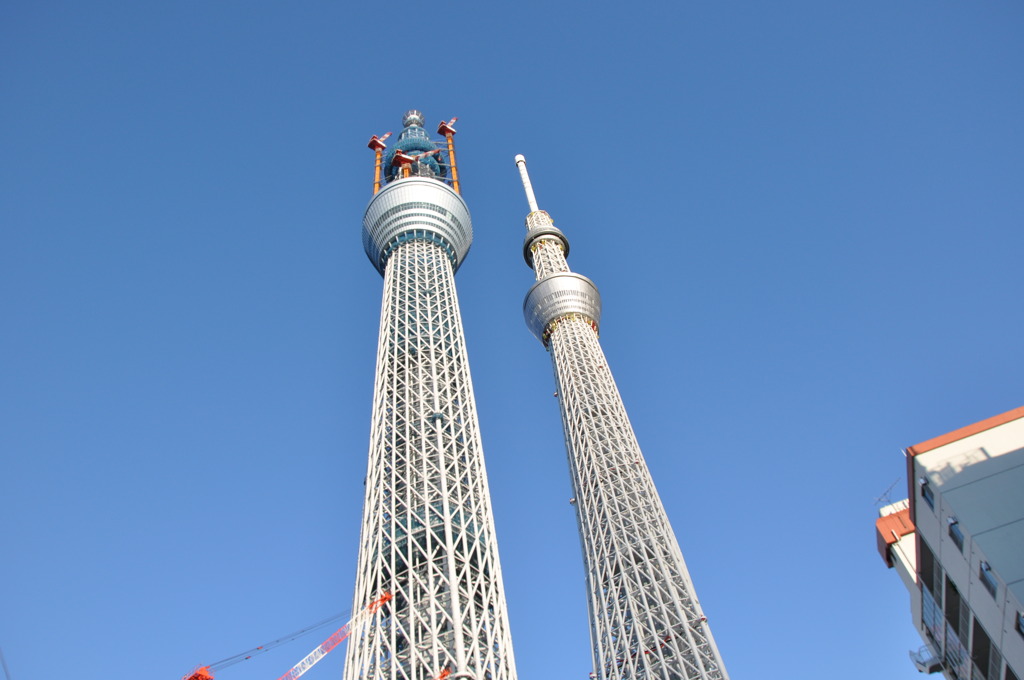 The Sky Tree 弟