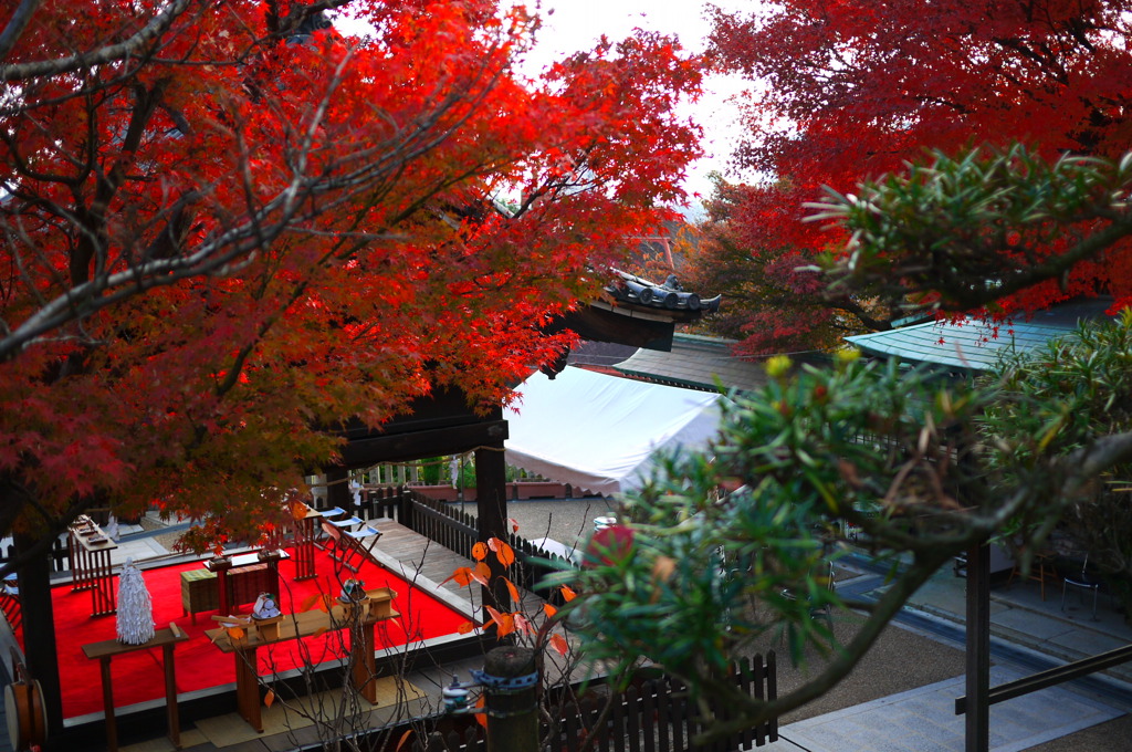 天満神社の紅葉