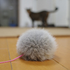 遠巻き