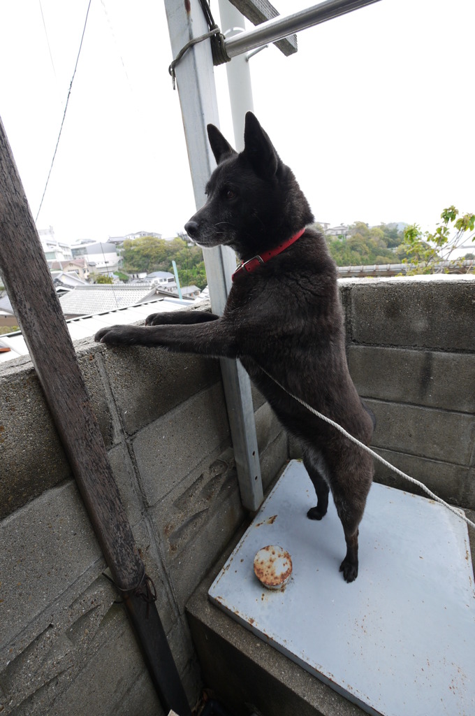 まだかな～