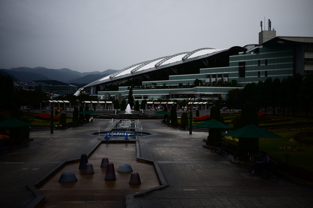 雨の阪神競馬場