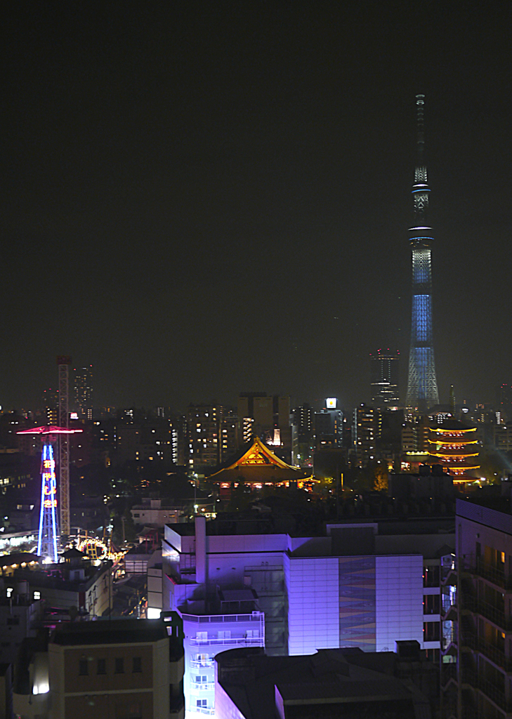 欲張りな夜景