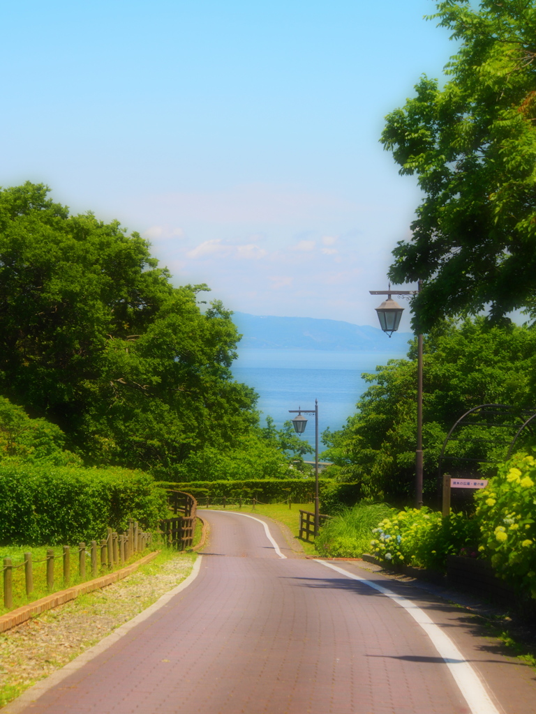 海へつづく道